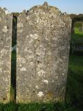 image of grave number 450334